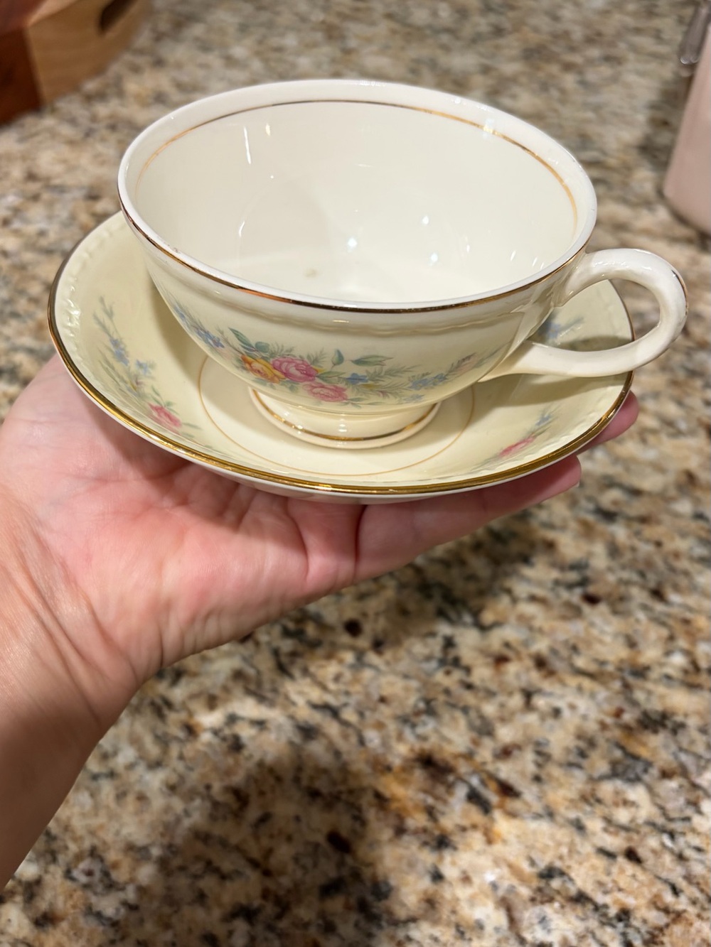 Classic Floral Porcelain Teacup and Saucer - Cream with Pink Roses